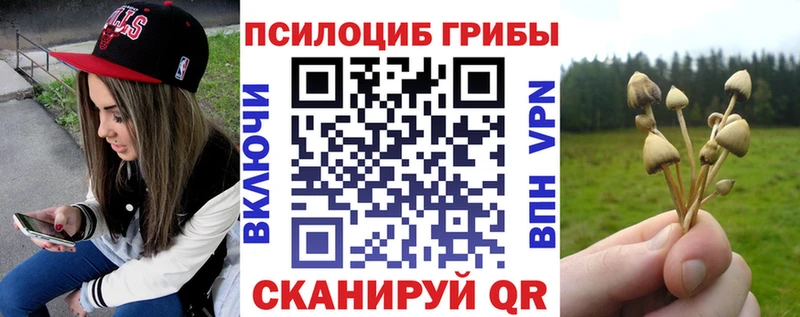 Псилоцибиновые грибы GOLDEN TEACHER  Усть-Илимск 