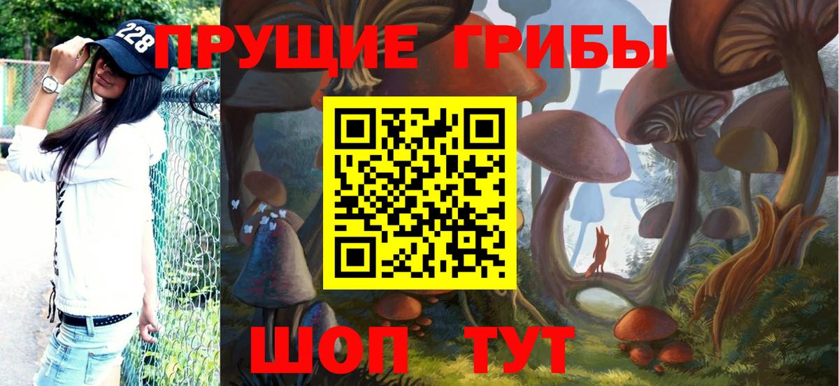 Усть-Илимск  Псилоцибиновые грибы прущие грибы  Вход с VPN  Псилоцибиновые грибы прущие грибы 