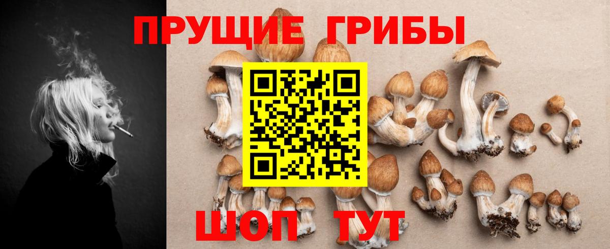 Псилоцибиновые грибы MAGIC MUSHROOMS Усть-Илимск